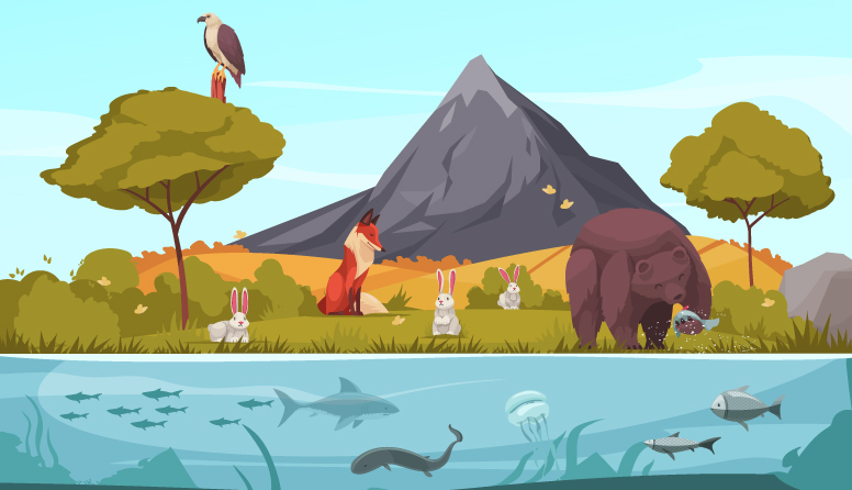 Môi trường xung quanh và cách cơ thể phản ứng sinh lý